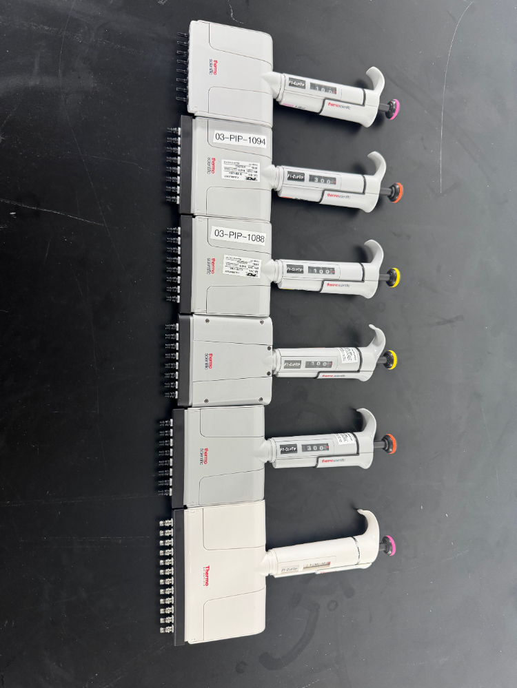 Image of Thermo F1-ClipTip Multichannel Pipettes - Quantity 6